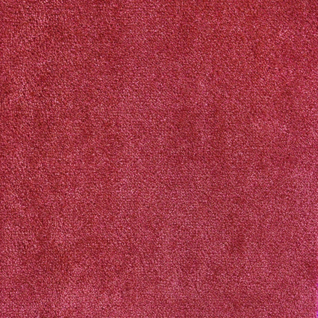 Turim 011