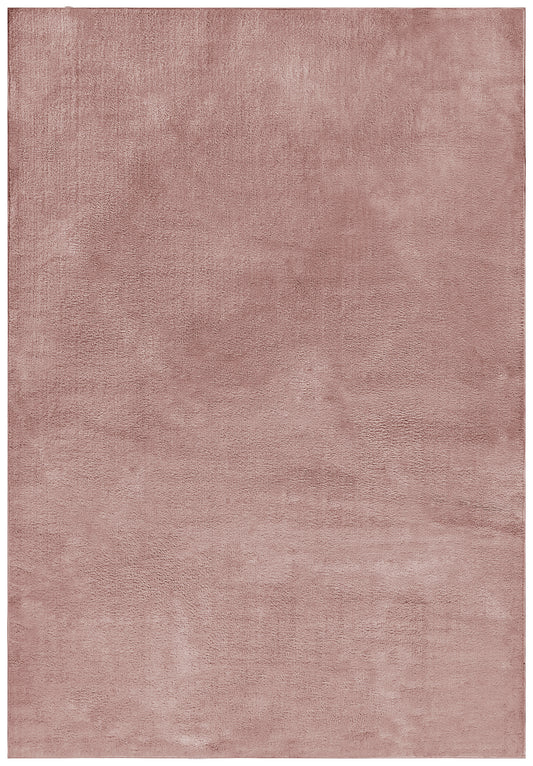 Boheme 38